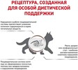 Сухий корм для кошенят Royal Canin Gastrointestinal Kitten 400 г - 7