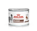 ПАК.Лечебный корм Royal Canin Recovery 6 шт по 195 гр - 2