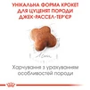Сухой корм для щенков Royal Canin Jack Russel Puppy 1.5 кг - 3