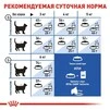 Сухой корм Royal Canin INDOOR для взрослых кошек живущих в помещении 4 кг - 3