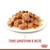 ПАК.Влажный корм для взрослых кошек Royal Canin HAIR&amp;SKIN IN JELLY (Желе) поддержание здоровья кожи и шерсти 12шт по 85 г - 3