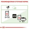 ПАК.Влажный корм Royal Canin DIGEST SENSITIVE для взрослых кошек с чувствительным пищеварением 12шт по 85 г - 5