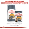 Сухой корм для кошек Royal Canin Hair &amp; Skin Care 400 г - 6