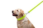 Повідок для собак шкіряний WAUDOG Glamour, Ш 25 мм, Дл 122 см, салатовий - 8