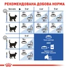 Сухий корм для домашніх котів Royal Canin Indoor 2 кг - 6