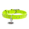 Нашийник для собак шкіряний WAUDOG Glamour з QR паспортом, з клейовими стразами, Ш 15 мм, Дл 27-36 см, салатовий - 2
