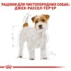 Корм Royal Canin Jack Russell Terrier Adult сухой для собак породы джек рассел 1.5 кг - 3