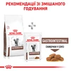 Сухий корм для дорослих котів Royal Canin Gastro Intestinal Cat 2 кг - 9