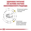 Сухий корм Royal Canin URINARY S/O CAT для дорослих котів, що сприяє розчиненню каменів та запобіганню їх повторному утворенню 400 г - 2