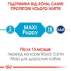 Сухой корм для щенков крупных пород Royal Canin Maxi Puppy до 15 месяцев 4 кг - 5
