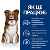 Сухой корм Hill's Prescription Diet Derm Defence для взрослых собак при дерматитах и потере шерсти 12 кг - 7