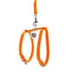 Шлейка з повідцем для собак шкіряна WAUDOG Glamour з QR паспортом, Ш 9 мм, А 20-30 см, В 30-40 см, оранжева - 2