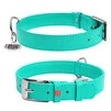 Нашийник для собак шкіряний WAUDOG Glamour з QR паспортом, без прикрас, Ш 25 мм, Дл 38-49 см, ментоловий - 1
