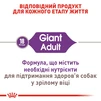 Сухой корм для взрослых собак Royal Canin Giant Adult гигантских пород старше 2 лет 15 кг - 3