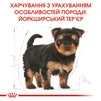 Сухой полнорационный корм для щенков Royal Canin Yorkshire Terrier Puppy породы йоркширский терьер возрасте от 2 до 10 месяцев 500 г - 6