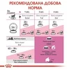Сухой корм Royal Canin Mother and Babycat для котят до 4 месяцев 10 кг - 3