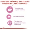 Сухой корм Royal Canin Mother and Babycat для котят до 4 месяцев 2 кг (НФ-00000218) - 3