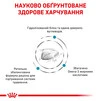 Сухой корм Royal Canin Hypoallergenic Feline гипоаллергенный для взрослых котов 0.4 кг - 4