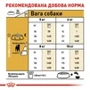 Корм Royal Canin Jack Russell Terrier Adult сухой для собак породы джек рассел 1.5 кг - 6