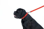 Поводок для собак водостойкий WAUDOG Waterproof, Ш 20 мм, Дл 183 см, красный - 5