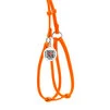 Шлея з повідцем для собак шкіряна WAUDOG Glamour з QR паспортом, кругла, Д 6 мм, А 42-60 см, В 46-64 см, оранжева - 2