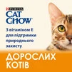 Сухой корм для взрослых кошек Purina Cat Chow Adult с курицей и индейкой 15 кг - 6