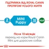 Сухой корм для щенков мелких пород Royal Canin Puppy Mini до 10 месяцев 2 кг - 3
