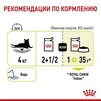 ПАК.Влажный корм Royal Canin SENSORY FEEL GRAVY (Соус) для взрослых кошек привередливых в питании 12 шт по 85 г - 3