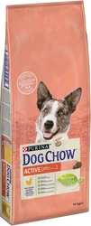 Сухой корм для взрослых активных собак Purina Dog Chow Active Adult со вкусом курицы 14 кг - 1