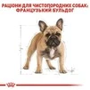 Сухий корм Royal Canin French Bulldog Adult для дорослих собак старше 12 місяців 1.5 кг - 2