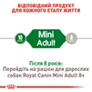 Сухой корм для собак Royal Canin Mini Adult мелких пород старше 10 месяцев 8 кг - 8