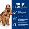 Сухий корм Hill's Prescription Diet Canine Z/D &ndash; для дорослих собак, схильних до харчових алергій 3 кг - 6