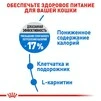 Сухий корм Royal Canin LIGHT WEIGHT CARE для дорослих котів, профілактика зайвої ваги 400 г - 5