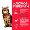 Сухой корм для кошек с чувствительным пищеварением и кожей Hill's Science Plan Adult Sensitive Stomach&amp;amp;Skin с курицей 1.5 кг - 3