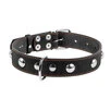Нашийник "CoLLaR" одинарний з прикрасами (ширина 35мм, довжина 48-63см), чорний - 2
