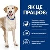 Сухий корм Hill's Prescription Diet d/d Food Sensitivities для собак з качкою та рисом 1.5 кг - 7