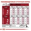 Сухий корм Royal Canin MEDIUM ADULT 7+ для старіючих собак Середніх порід 4 кг - 5