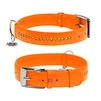 Нашийник для собак шкіряний WAUDOG Glamour з QR паспортом, подвійний зі стразами, Ш 15 мм, Дл 27-36 см, оранжевий - 1
