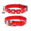Нашийник для собак шкіряний WAUDOG Glamour з QR паспортом, візерунок "Зірочка", що світиться/світловідбиваючий, Ш 35 мм, Дл 46-60 см, червоний - 1