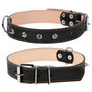Ошейник "CoLLaR" двойной с шипами (ширина 35мм, длина 48-63см), черный - 1
