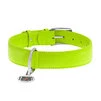 Нашийник для собак шкіряний WAUDOG Glamour з QR паспортом, без прикрас, Ш 35 мм, Дл 46-60 см, салатовий - 2