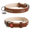 Ошейник для собак кожаный WAUDOG Soft с QR паспортом, металлические украшения, Ш 15 мм, Дл 27-37 см - 1