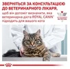 Сухий корм Royal Canin Urinary S/O Feline для дорослих котів з сечокам'яною хворобою 3.5 кг - 8