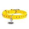 Нашийник для собак шкіряний WAUDOG Glamour з QR паспортом, з клейовими стразами, Ш 12 мм, Дл 21-29 см, жовтий - 2