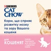 Сухий корм для кошенят Purina Cat Chow Kitten з куркою 15 кг - 5