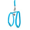 Шлея з повідцем для собак шкіряна WAUDOG Glamour з QR паспортом, Ш 9 мм, А 20-30 см, В 30-40 см, блакитна - 2
