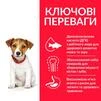 Сухий корм для цуценят малих і мініатюрних порід Hill&rsquo;s SCIENCE PLAN Puppy Smal&amp;amp;Mini з ягням та рисом, 1,5 кг - 3