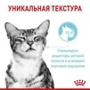 ПАК.Влажный корм Royal Canin SENSORY FEEL GRAVY (Соус) для взрослых кошек привередливых в питании 12 шт по 85 г - 4