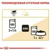 ПАК. Вологий корм Royal Canin BRITISH SHORTHAIR ADULT для дорослих котів британської породи 12шт по 85 г - 4
