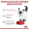 ПАК. Влажный корм Royal Canin KITTEN INSTINCTIVE IN GRAVY (Соус) для котят 12шт по 85 г - 3